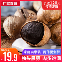 ⌍b^ɽ|alͺ^΢Ƥڴʳ