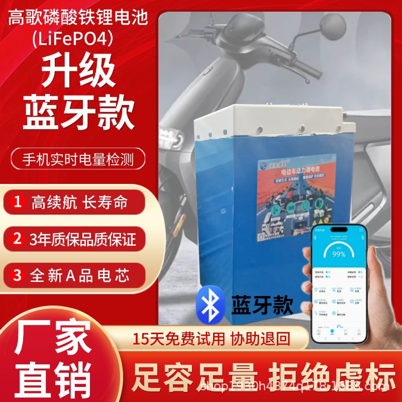 2025新款48V60V72V超强续航电动车池磷酸铁锂电池两三轮电池通用