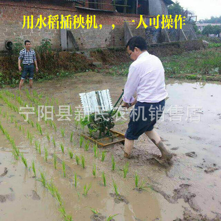 水稻插秧机水田用水田水稻苗插秧机两行稻苗栽秧机有现货