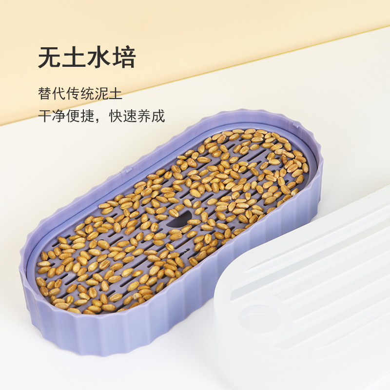Caja hidropónica de hierba para gatos semillas de maceta cajas de hierba para gatos jóvenes Caja hidropónica de hierba para gatos