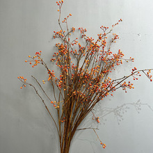 ��ɫ�����ٶU����Ҿ��l�廨ɽ�w�����ҾӔ[���ٻ��lؔ����ľ��