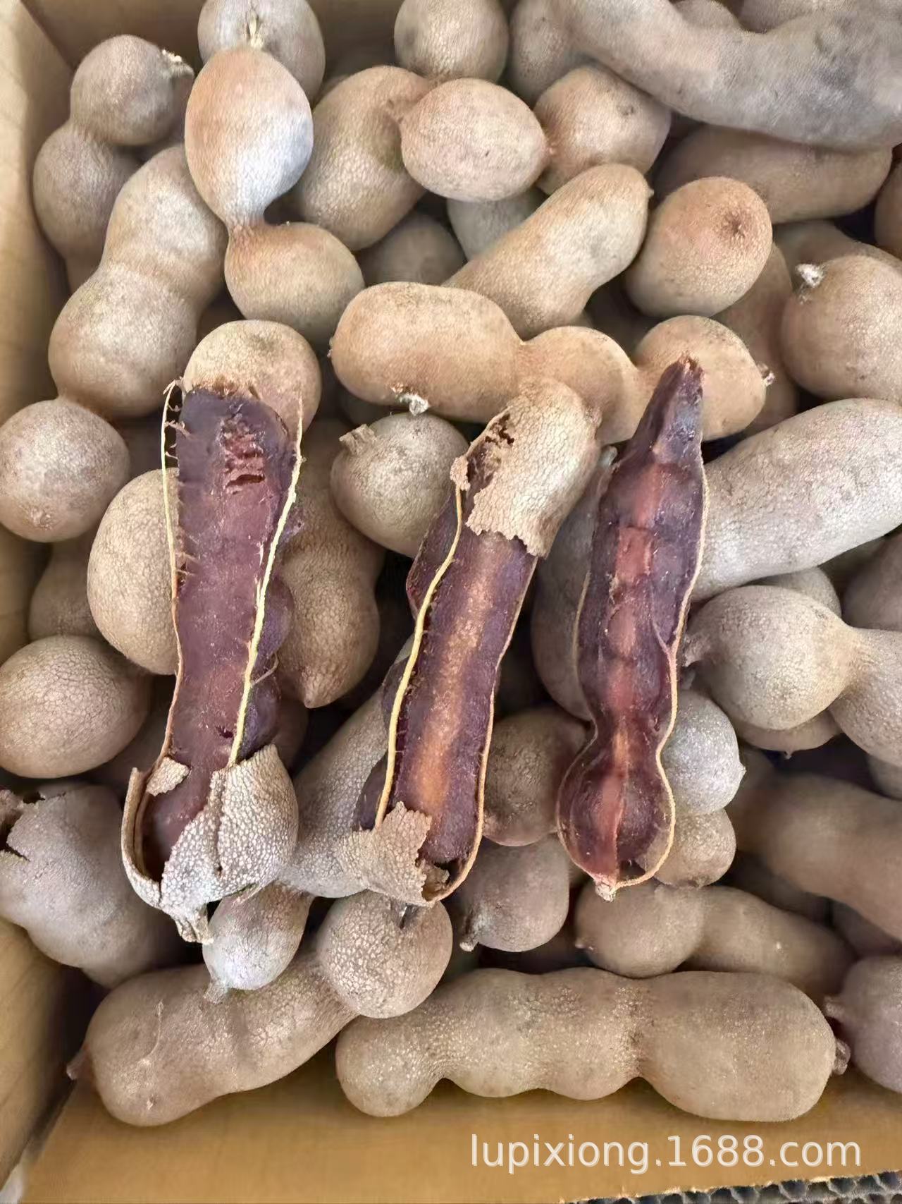 微信图片_20260401130940_1306_13