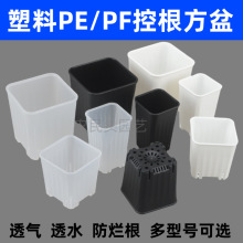 PE/PF�ظ����谫�ֶ������ϻ��貥������Ǥ���ķ����׶�԰���