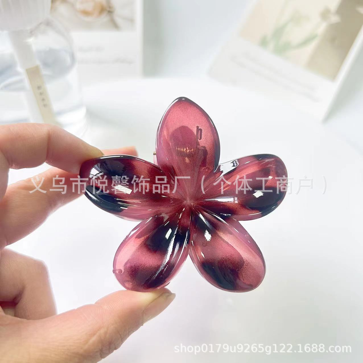 젤리 파우더 거북이 쉘