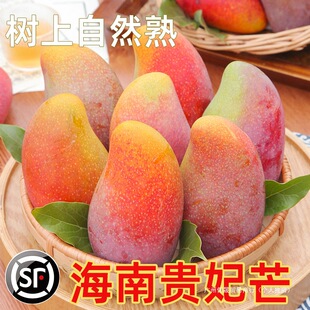 �����F��â���râ��������ˮ��������t��������â����â�������