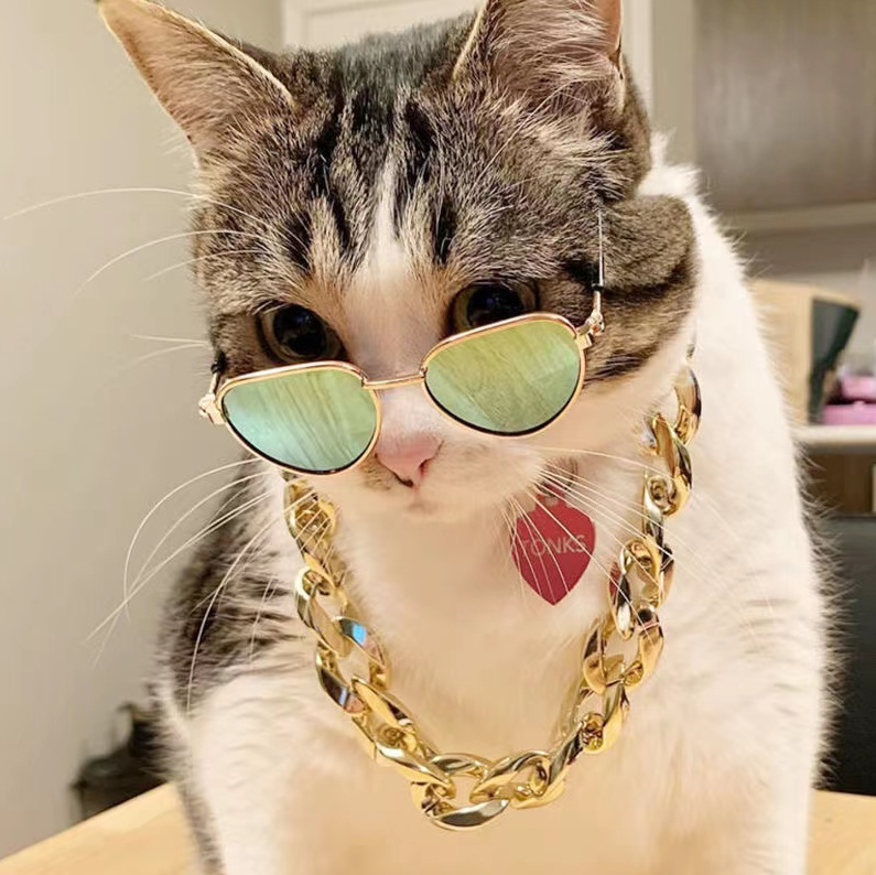 Accesorios para gatos para mascotas, gafas pequeñas, personalidad encantadora, vestido para fotos, gafas de sol para gatos, gafas para gatos