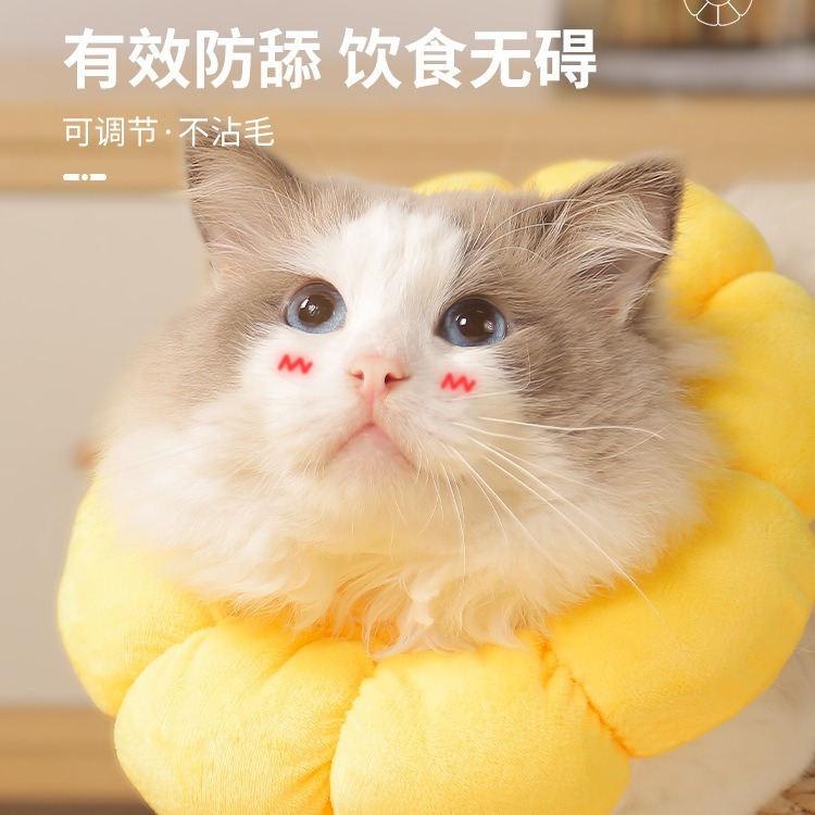 売れ筋エリザベスカラー 猫用首輪 去勢・舐め防止・美容用 エリザベスカラー ペット用首輪|undefined