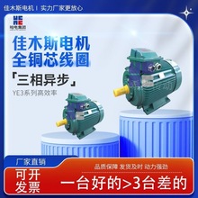 佳木斯防爆电机YE3系列11~22kw 三相异步电动机高效节能厂家直供