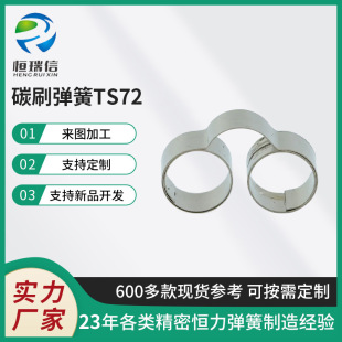 TS72̼ˢ���ɐa������ ���� ���P䓏����R�_̼ˢ�l�l���ɏS�����l
