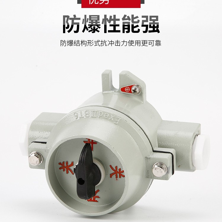 SW-10防爆控制开关防爆防腐转换开关 防爆照明开关380V