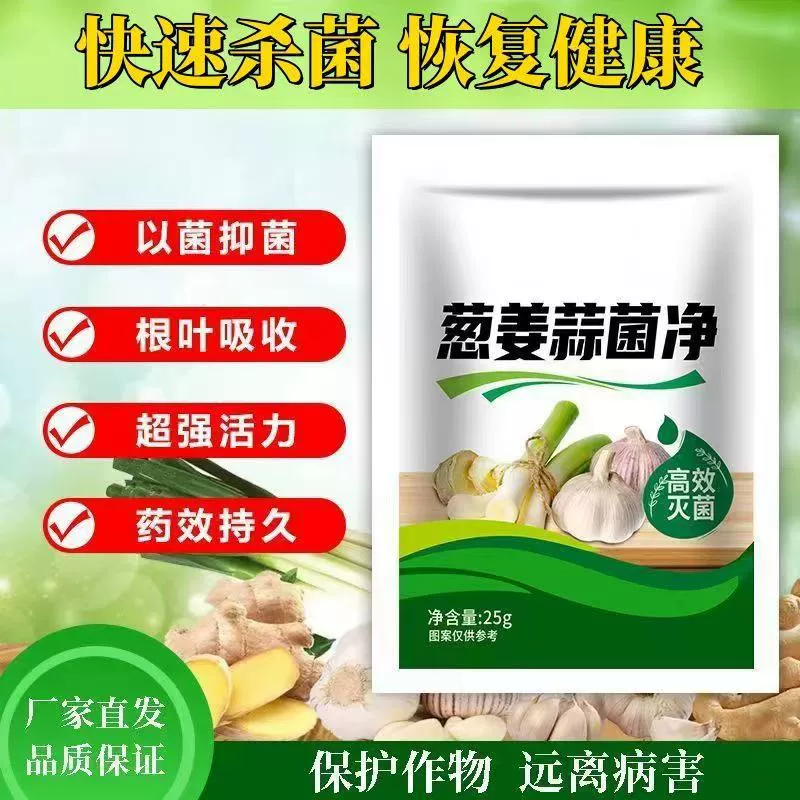 Лук, имбирь, чеснок, чеснок, лук, чеснок