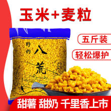 ��������������~�D���s�Z�~�D�C��Ұ��a�~���~ǧ���������C��