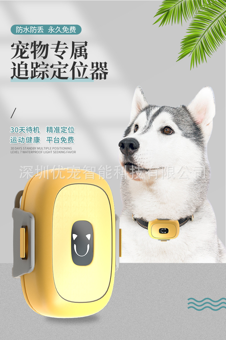 狗狗宠物定位器_01.jpg