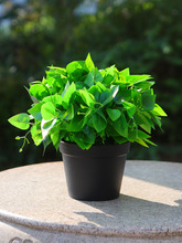 工厂批发彷真绿萝盆栽假花塑料彷真花彷生绿植落地绿箩植物摆件花