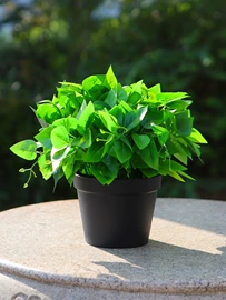 其他垂钓用品;地垫;蚊帐、床幔