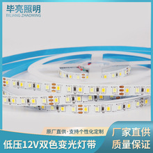 加工定制双色变光灯带 12V低压LED灯带 2835贴片柔性软灯条