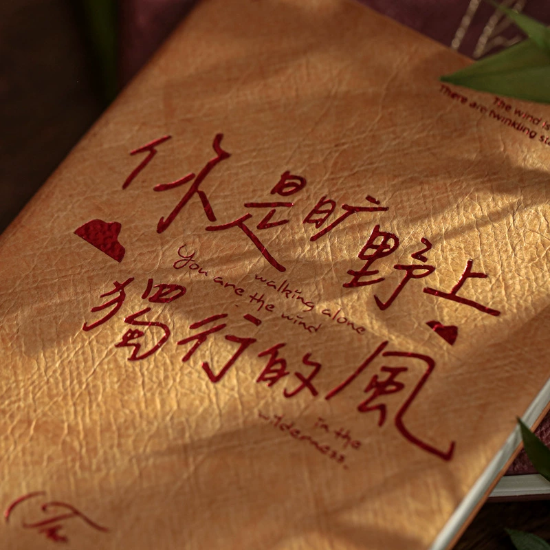 纸先生 A6 hardcover книга, Серия Years Silent, оригинальная позолоченная каллиграфия и текст учебные заметки в твёрдом переплете