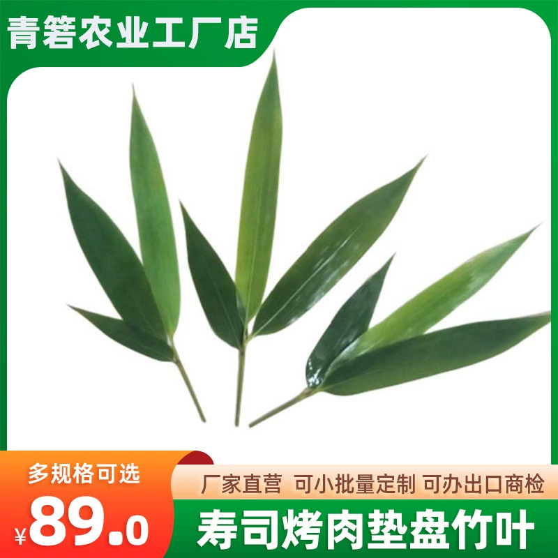 Клевер Свежий Zongleaf Японское украшение Коммерческое барбекю Суши блюдо маленькие листья бамбука Zongleaf