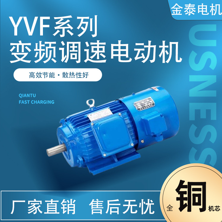 六安金泰电机厂家直销YVF系列变频调速三相异步电动机