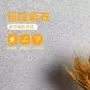 防水一体家装艺术涂料