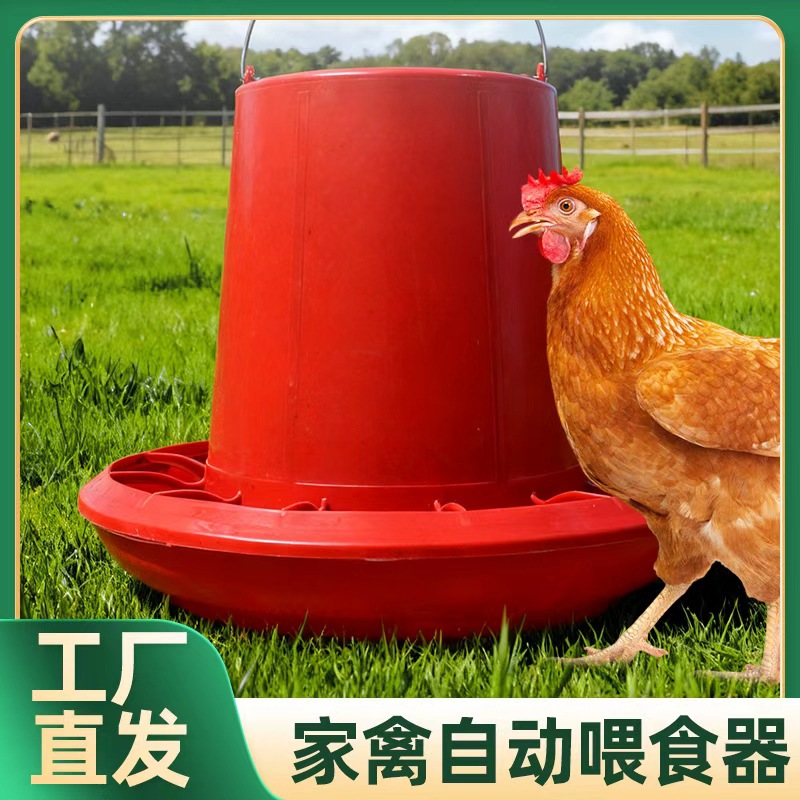 鸡水桶水槽饮水壶小鸡饮水器鸡舍饮水器自动饮水壶养鸡设备专用