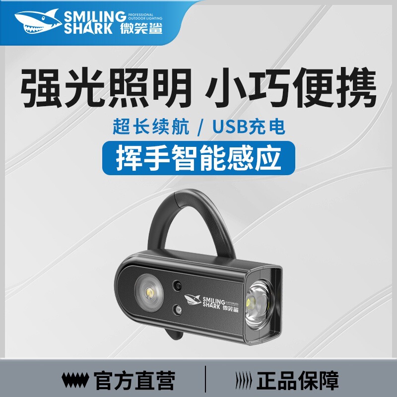 Cross-Border New Outdoor Ear-Mounted Induction Headlight Detachable Mini Night Fishing and Cycling Lighting Portable Head-Mounted