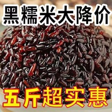 ��ѪŴ�׺�Ŵ��ճŴ����Ŵ��������Ŵ�ז|��ᄾ�ѪŴ������