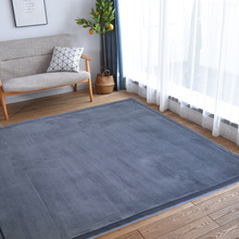 3cm纯色珊瑚绒地垫大面积卧室地毯日式榻榻米海绵垫加厚休闲区垫