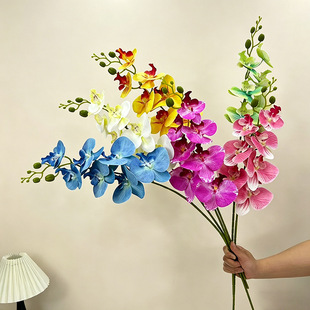 �S�����l����ٻ���c�û����������ֹ��������m���滨�߼��б���
