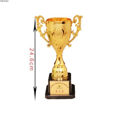 Nuevo trofeo de gloria matutina, trofeo pequeño creativo, fabricante mayorista de trofeos de plástico, trofeo infantil, trofeo de baloncesto.