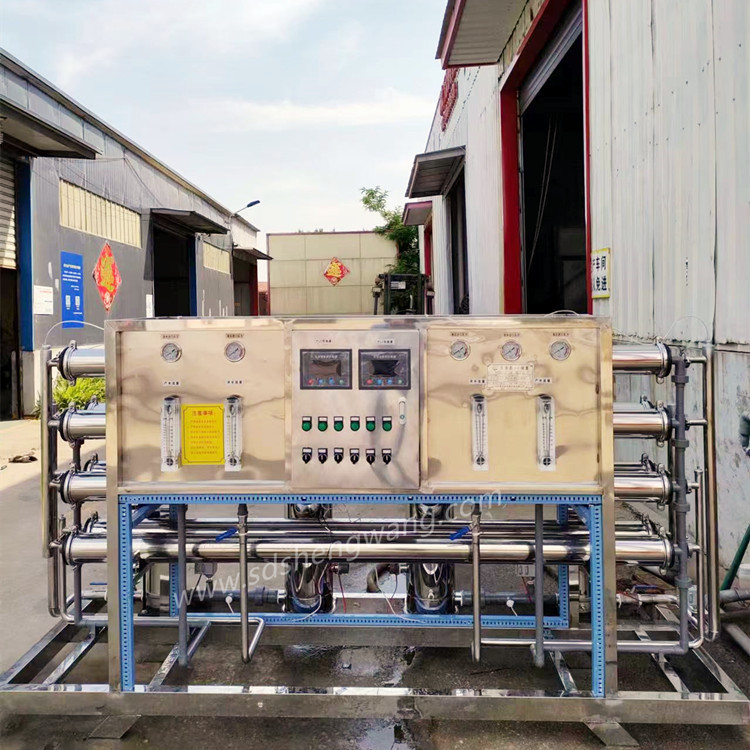 胜王水处理 双级反渗透去离子过滤工业脱盐软化水设备全不锈钢