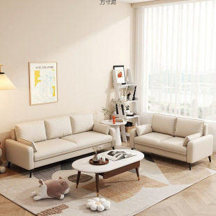 Simple Modern Small Apartment Rental Bedroom Apartment Living Room Clothing Store Rest Area Reception Double Sofa Lazy Person