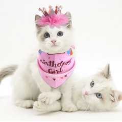 Amazon Pet Birthday Set Pearl Crown Hat Triangular Scarf Combo Birthday Costume Pet Supplies