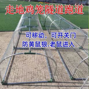 Free-Range Chicken Tunnel, Chicken Cage, Runway, Chicken Tunnel Cage, Outdoor Walking Hen, Free-Range in the Courtyard
