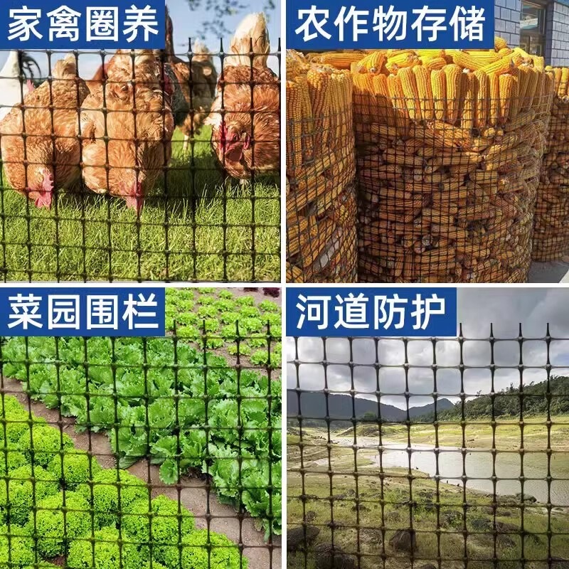 塑料土工格栅双向拉伸PP聚丙烯路基加固格栅网厂家聚丙烯土工格栅|undefined