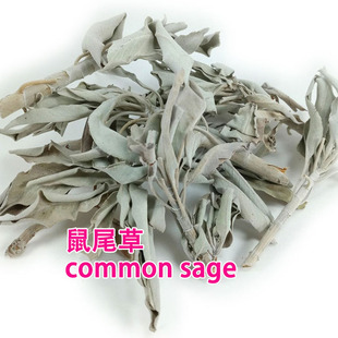 ��β��������β���{ζ�ϚW���_�����_�決��������common sage