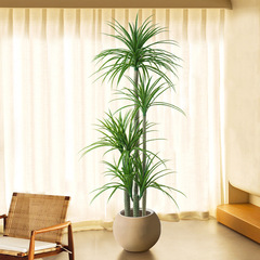 シミュレーション植物竜血樹着地鉢植え室内大型バイオニクス緑植置物客間軽豪華装飾花偽樹