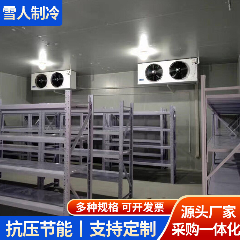 厂家直销食品冷库低温储存海鲜蔬菜水果保鲜多功能干货小型冷库