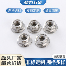 304���P������w����ĸ��A�ݽz�wñ ��\�w����ñ�A�^���β�����