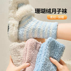冬季加厚保暖珊瑚绒袜子女澳绒防寒睡眠袜产后居家加绒中筒地板袜