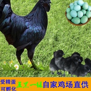 ���һ�G�ܾ����ɷ���С�uɢ�B�u�������u�������G���N�����]��