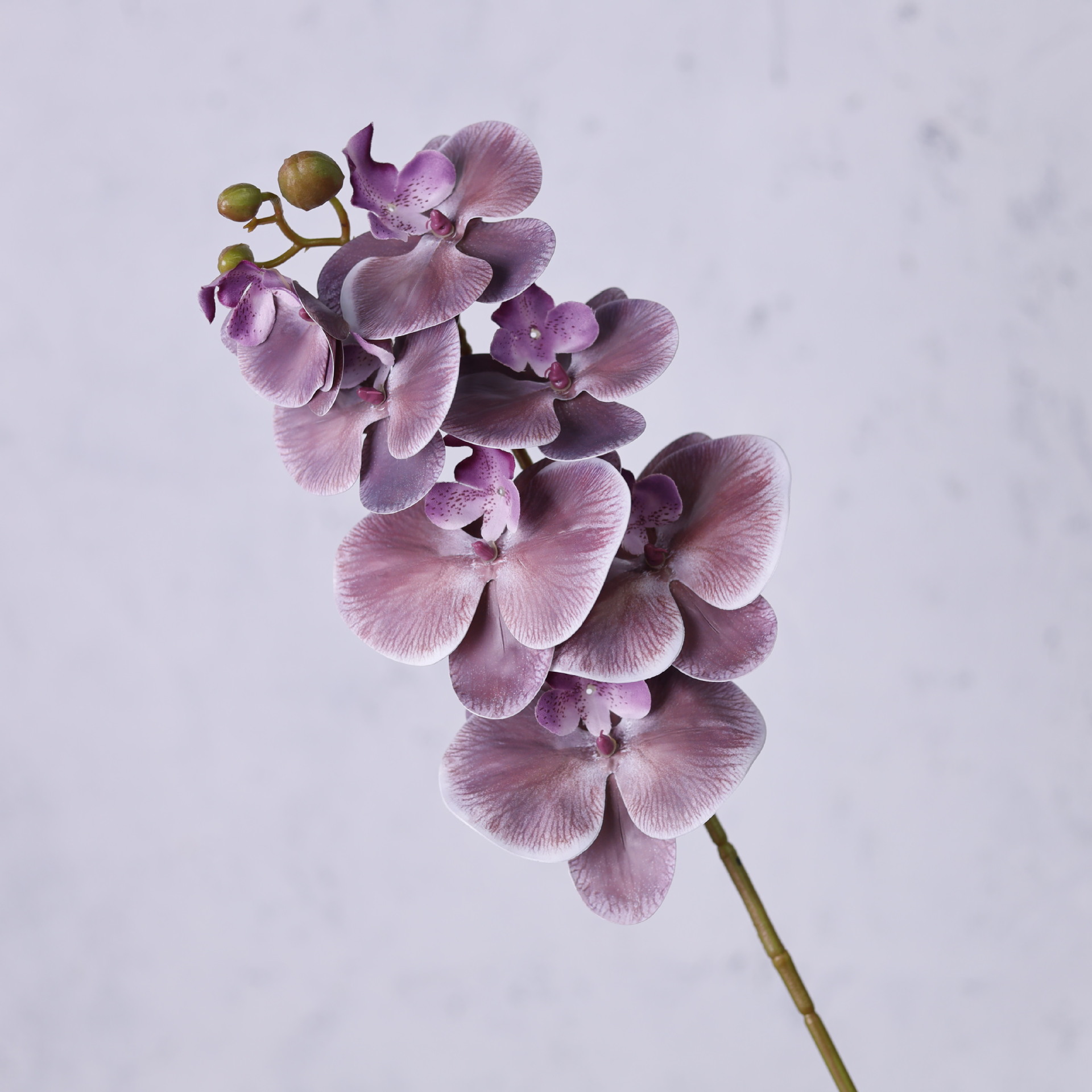 Impresión 3D de 7 cabezas de orquídeas mariposa flor de decoración de flores de alto nivel flor de nicho decoración floral decoración de sala de estar