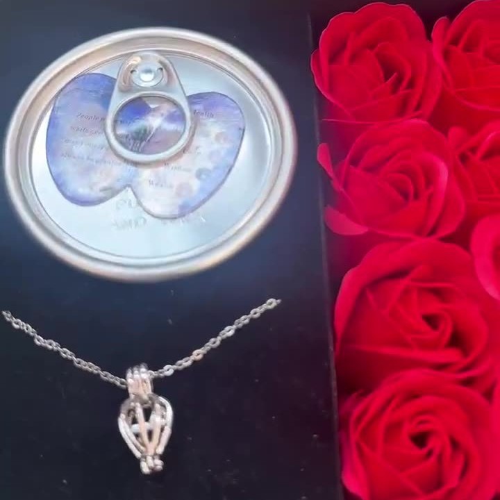 Amazon transfronterizo vacío concha de agua dulce perlas concha de río jabon flor caja de regalo colgante conjunto de conchas de regalo