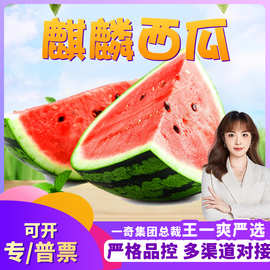 【严选】云南沙瓤麒麟西瓜 代发4/5斤新鲜应季糖心沙瓤大甜瓜非黑