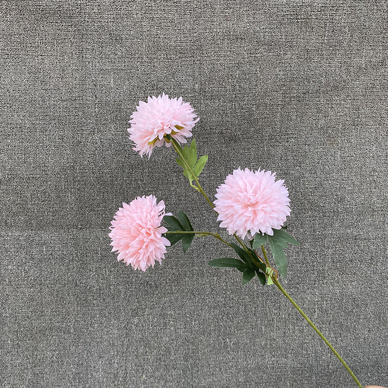 3 Fork Big head dandelion pink