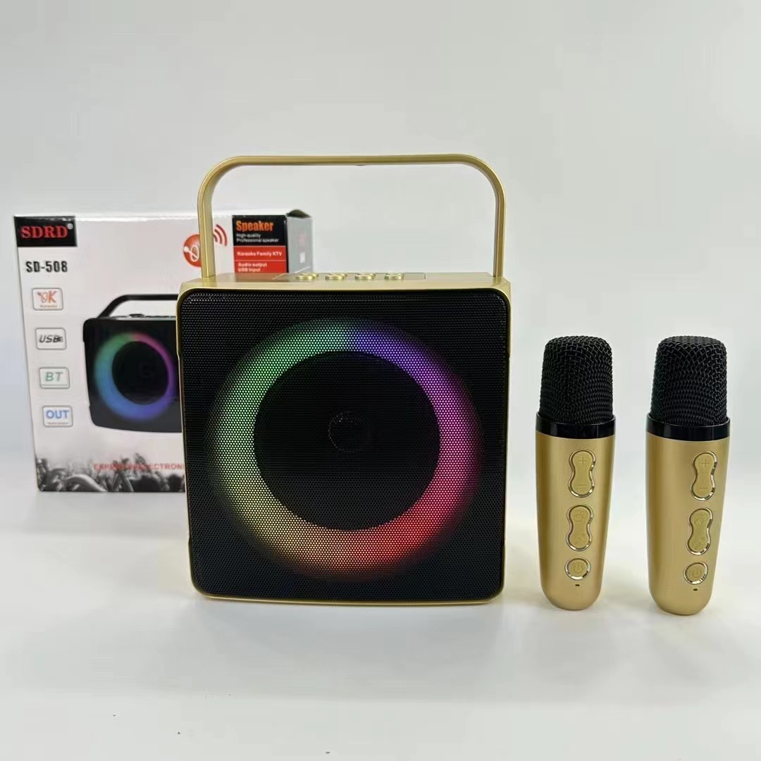 Al Aire Libre SD508 portátil inalámbrico karaoke máquina Bluetooth audio Doble micrófono inalámbrico micrófono audio en vivo