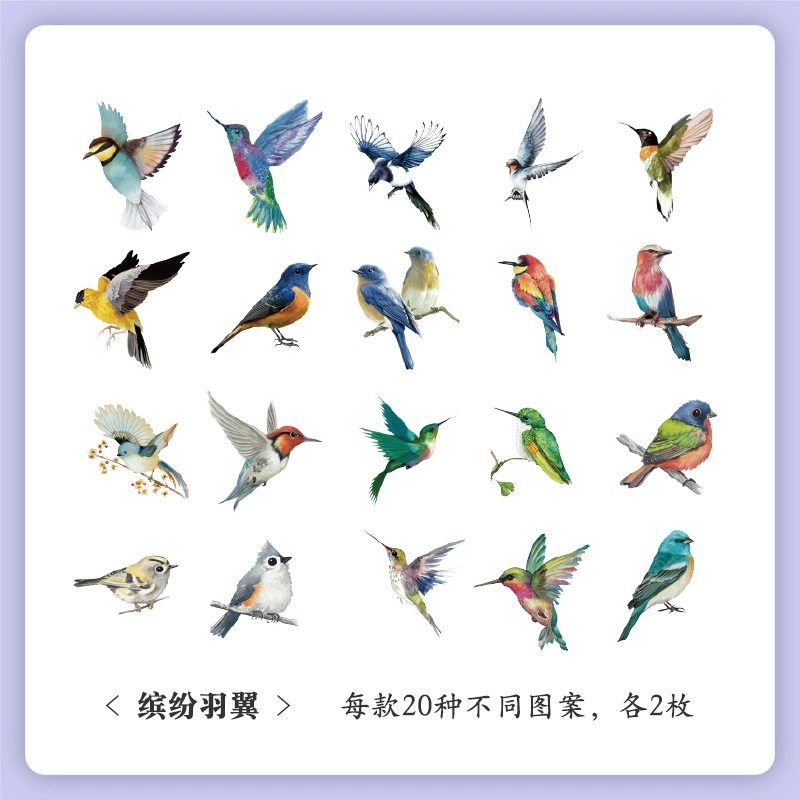 Sticker Set, 40-Sheet Assortment, Butterfly & Floral Designs for Kids' Bags and Planners