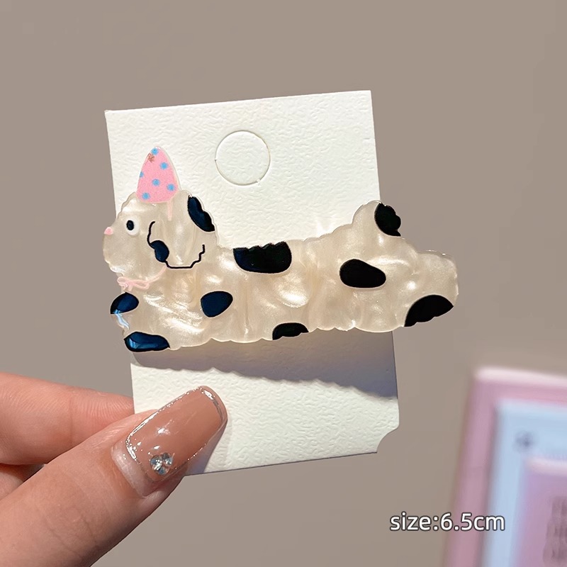 Black and white puppy [1]