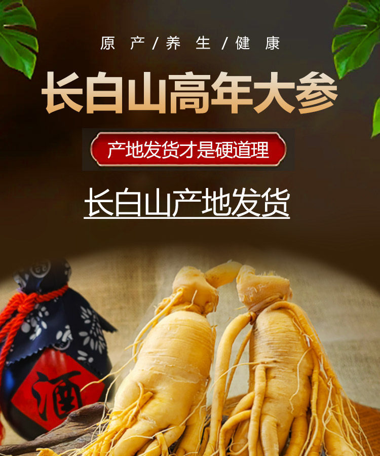 Whole Fresh Ginseng Root from Changbai Mountain Jilin for Soup and Wine Infusion Large Garden Ginseng Ren Shen overview