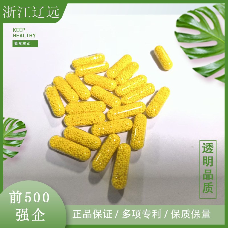源头厂家 直供木薯植物空囊 淀粉胶囊 空壳素食0#0号囊 十万颗D制